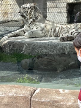 東武動物公園に投稿された画像（2022/3/21）