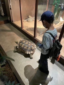 Moff animal world MARK IS みなとみらい店に投稿された画像（2022/3/21）