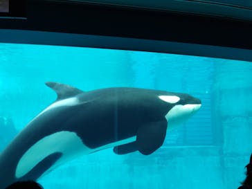 名古屋港水族館に投稿された画像（2022/3/21）