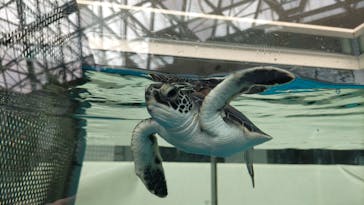 名古屋港水族館に投稿された画像（2022/3/21）