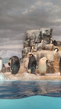 名古屋港水族館に投稿された画像（2022/3/21）