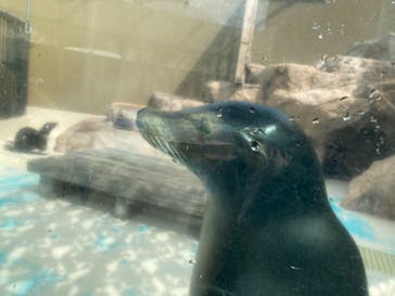 サンシャイン水族館に投稿された画像（2022/3/21）