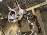 国立科学博物館に投稿された画像（2022/3/21）