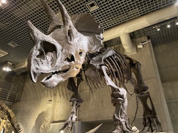 国立科学博物館に投稿された画像（2022/3/21）