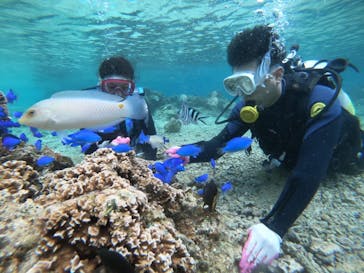武藤潜水に投稿された画像（2022/3/21）