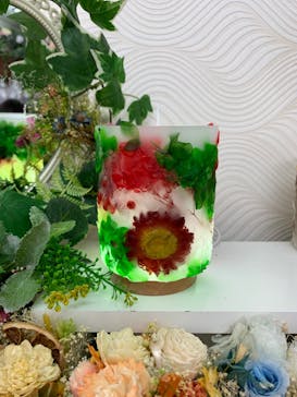 ずこうしつ〜sugamo〜に投稿された画像（2022/3/21）