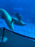 名古屋港水族館に投稿された画像（2022/3/21）