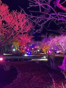 せんだい農業園芸センター　みどりの杜に投稿された画像（2022/3/21）