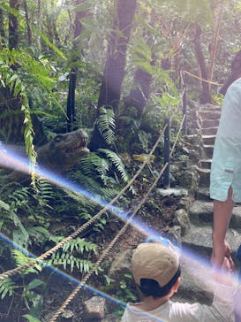 御菓子御殿　名護店　やんばる亜熱帯の森DINO恐竜PARKに投稿された画像（2022/3/21）