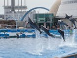 名古屋港水族館に投稿された画像（2022/3/21）
