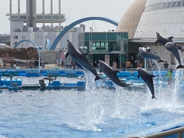 名古屋港水族館に投稿された画像（2022/3/21）