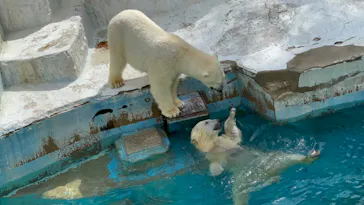 天王寺動物園に投稿された画像（2022/3/21）