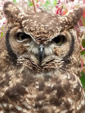 伊豆シャボテン動物公園に投稿された画像（2022/3/21）