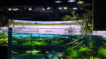 カワスイ 川崎⽔族館に投稿された画像（2022/3/21）