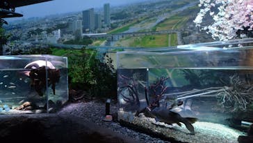 カワスイ 川崎⽔族館に投稿された画像（2022/3/21）