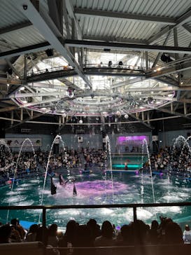 マクセル アクアパーク品川に投稿された画像（2022/3/21）