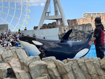 名古屋港水族館に投稿された画像（2022/3/21）