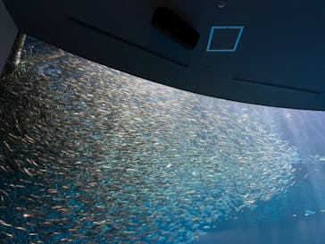 名古屋港水族館に投稿された画像（2022/3/21）