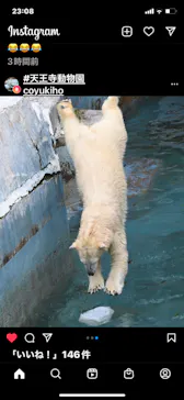 天王寺動物園に投稿された画像（2022/3/21）