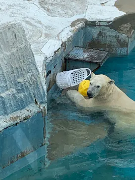 天王寺動物園に投稿された画像（2022/3/21）