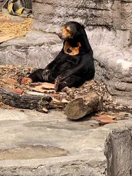 天王寺動物園に投稿された画像（2022/3/21）