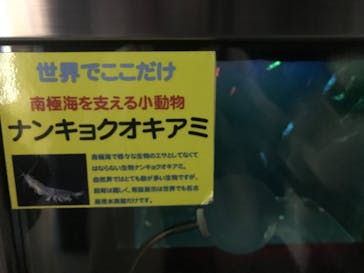 名古屋港水族館に投稿された画像（2022/3/21）