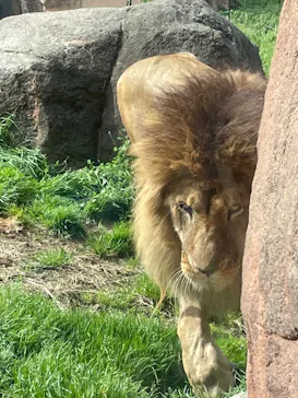 天王寺動物園に投稿された画像（2022/3/21）