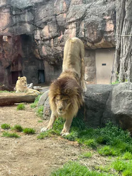 天王寺動物園に投稿された画像（2022/3/21）