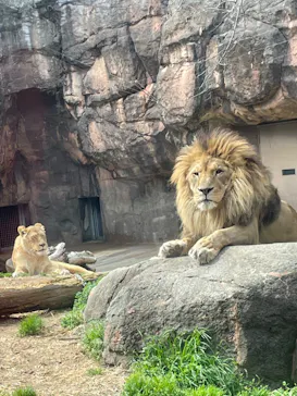 天王寺動物園に投稿された画像（2022/3/21）