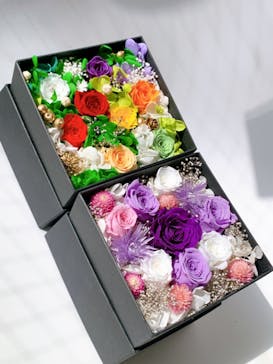 ずこうしつ〜sugamo〜に投稿された画像（2022/3/21）