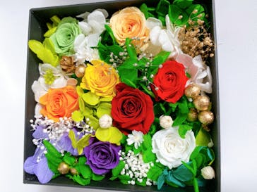 ずこうしつ〜sugamo〜に投稿された画像（2022/3/21）