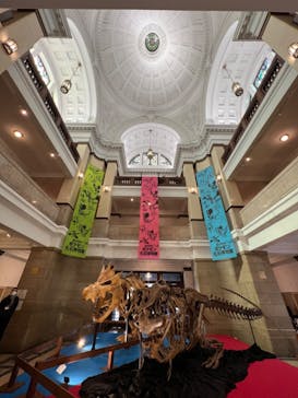 国立科学博物館　特別企画展「ポケモン化石博物館」に投稿された画像（2022/3/21）