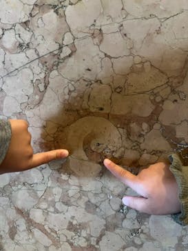 国立科学博物館　特別企画展「ポケモン化石博物館」に投稿された画像（2022/3/21）