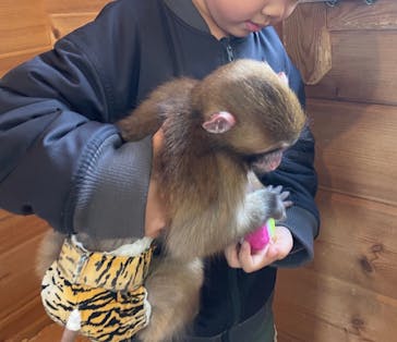 おさるランド＆アニタウン　日光さる軍団劇場に投稿された画像（2022/3/21）