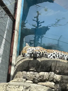 天王寺動物園に投稿された画像（2022/3/21）