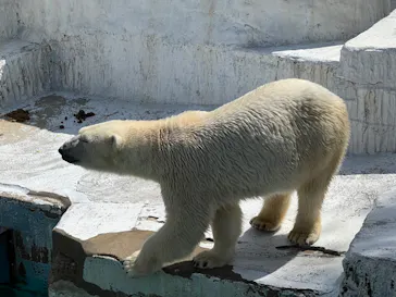 天王寺動物園に投稿された画像（2022/3/21）