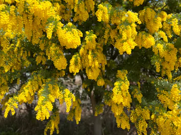 神戸どうぶつ王国に投稿された画像（2022/3/21）