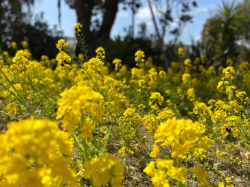 神戸どうぶつ王国に投稿された画像（2022/3/21）