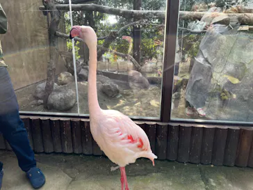 神戸どうぶつ王国に投稿された画像（2022/3/21）
