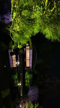 NAKED FLOWERS 2022 -桜- 世界遺産・二条城に投稿された画像（2022/3/21）