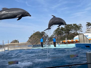 越前松島水族館に投稿された画像（2022/3/21）