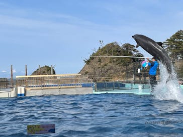 越前松島水族館に投稿された画像（2022/3/21）