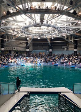 マクセル アクアパーク品川に投稿された画像（2022/3/21）