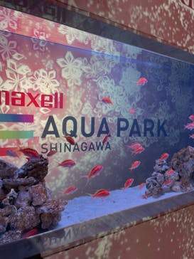 マクセル アクアパーク品川に投稿された画像（2022/3/21）