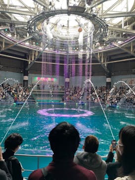 マクセル アクアパーク品川に投稿された画像（2022/3/21）