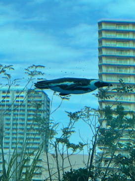 サンシャイン水族館に投稿された画像（2022/3/21）