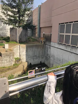 天王寺動物園に投稿された画像（2022/3/21）