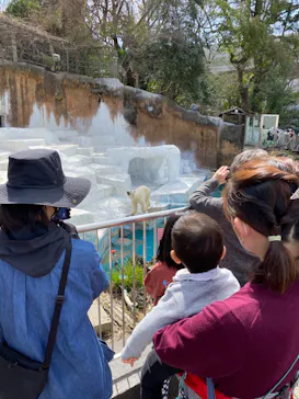 天王寺動物園に投稿された画像（2022/3/21）