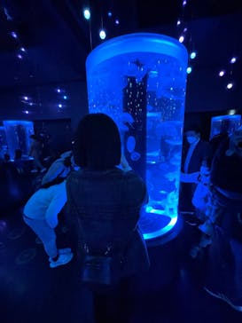 マクセル アクアパーク品川に投稿された画像（2022/3/21）