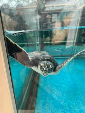名古屋港水族館に投稿された画像（2022/3/21）